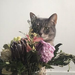 Meet your Posher, Catherine